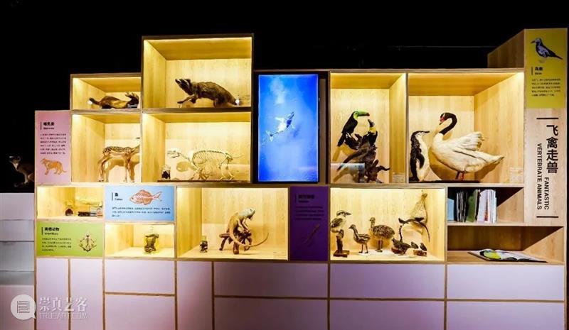 北京9月 |17个不可错过的新媒体艺术展 崇真艺客