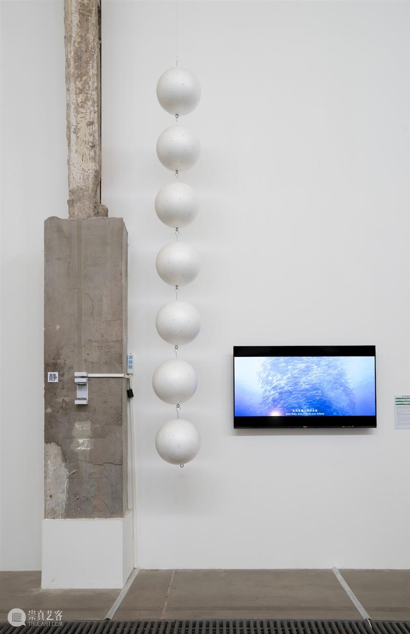北京9月 |17个不可错过的新媒体艺术展 崇真艺客