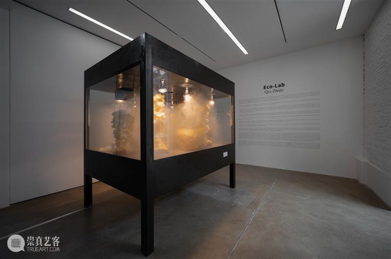 北京9月 |17个不可错过的新媒体艺术展 崇真艺客