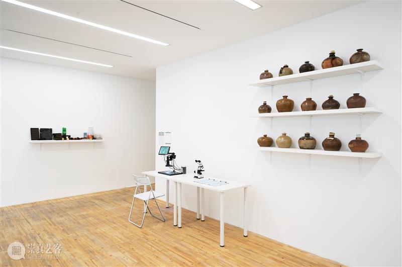 北京9月 |17个不可错过的新媒体艺术展 崇真艺客