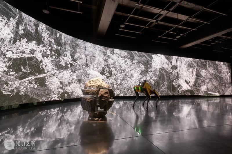 北京9月 |17个不可错过的新媒体艺术展 崇真艺客