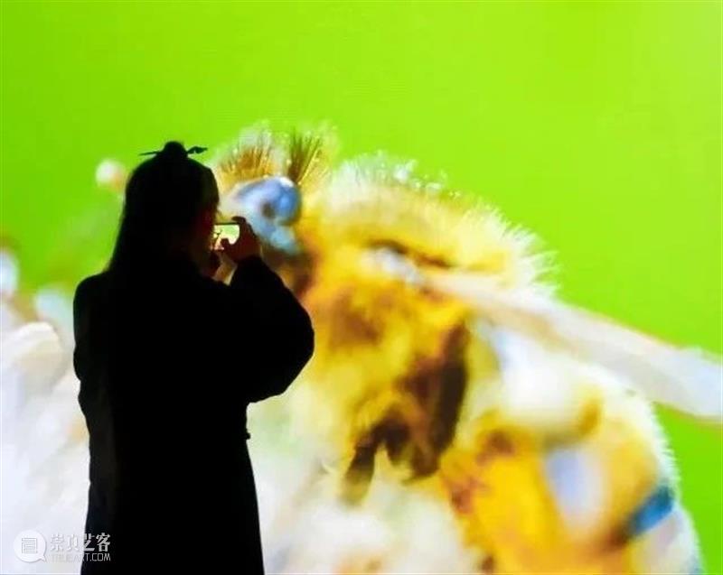 北京9月 |17个不可错过的新媒体艺术展 崇真艺客