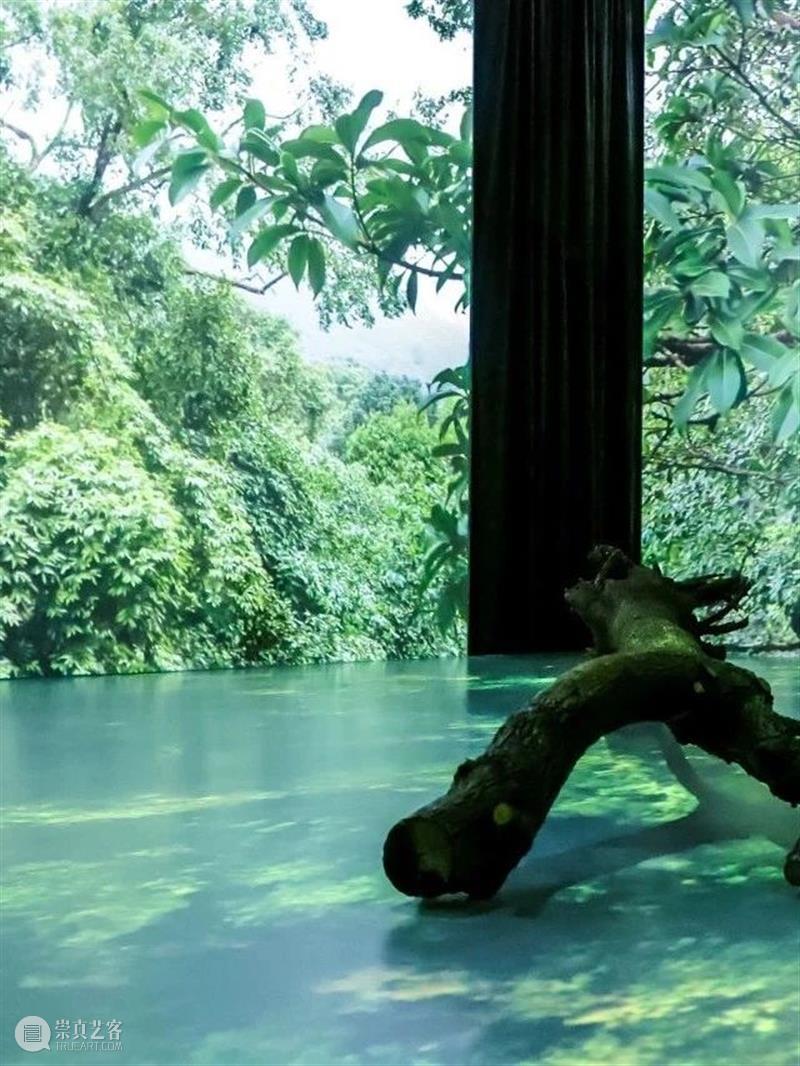 北京9月 |17个不可错过的新媒体艺术展 崇真艺客