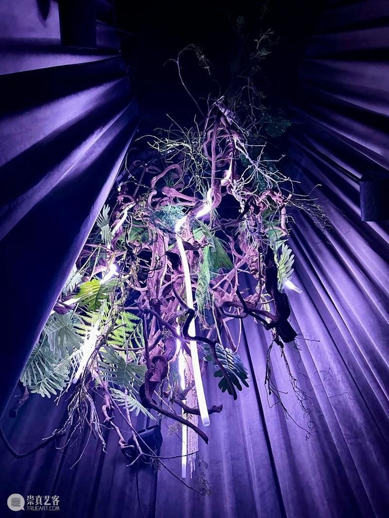 北京9月 |17个不可错过的新媒体艺术展 崇真艺客