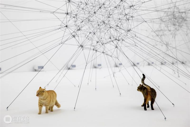 北京9月 |17个不可错过的新媒体艺术展 崇真艺客