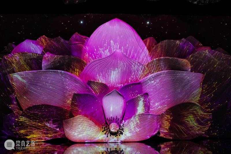 北京9月 |17个不可错过的新媒体艺术展 崇真艺客