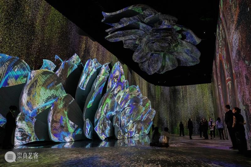 北京9月 |17个不可错过的新媒体艺术展 崇真艺客
