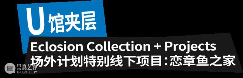 油罐玩家艺术节2024｜游玩全攻略！ 崇真艺客