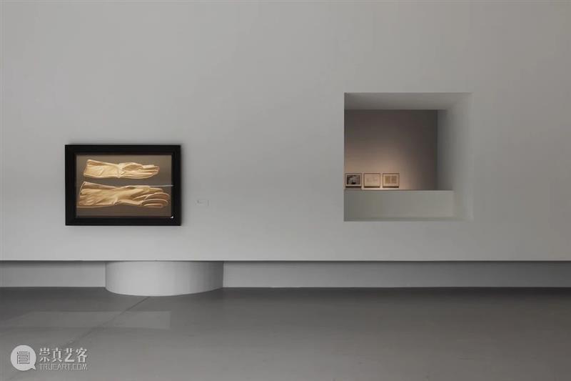 【SPURS 艺术家】张培力近期动态 崇真艺客