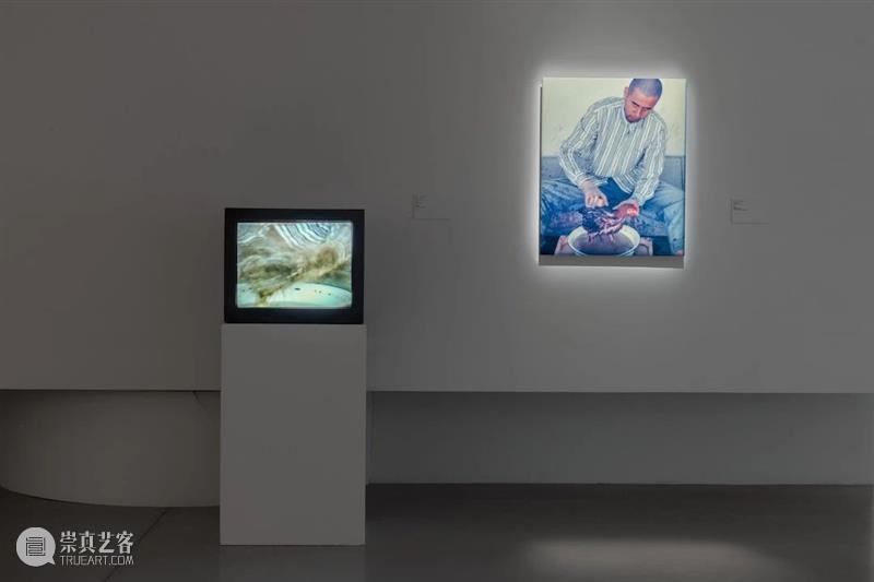 【SPURS 艺术家】张培力近期动态 崇真艺客