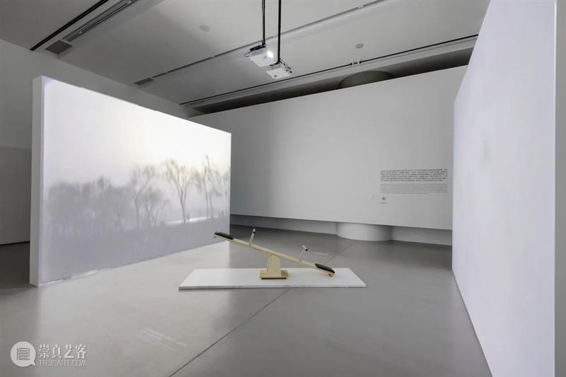 【SPURS 艺术家】张培力近期动态 崇真艺客