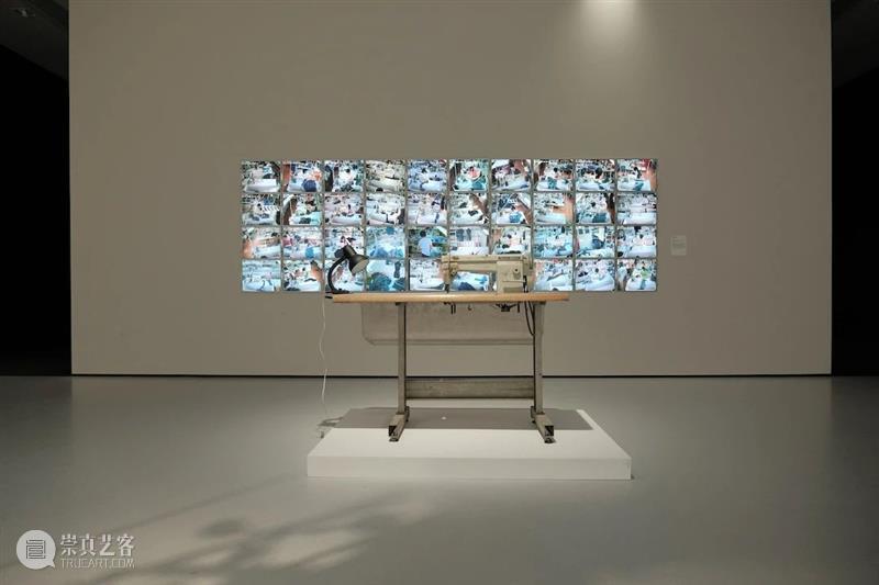 【SPURS 艺术家】张培力近期动态 崇真艺客