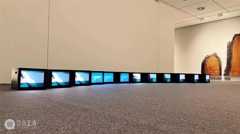 【SPURS 艺术家】张培力近期动态 崇真艺客