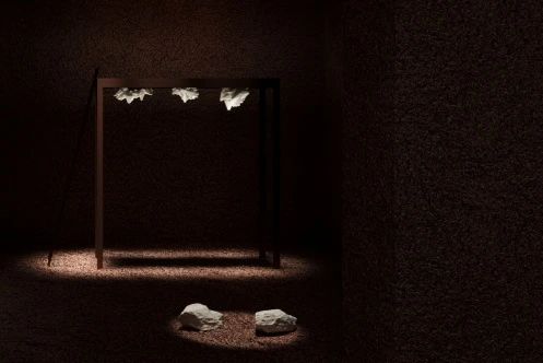 早鸟开售 | “行为艺术之母”阿布拉莫维奇中国首个美术馆大展 崇真艺客