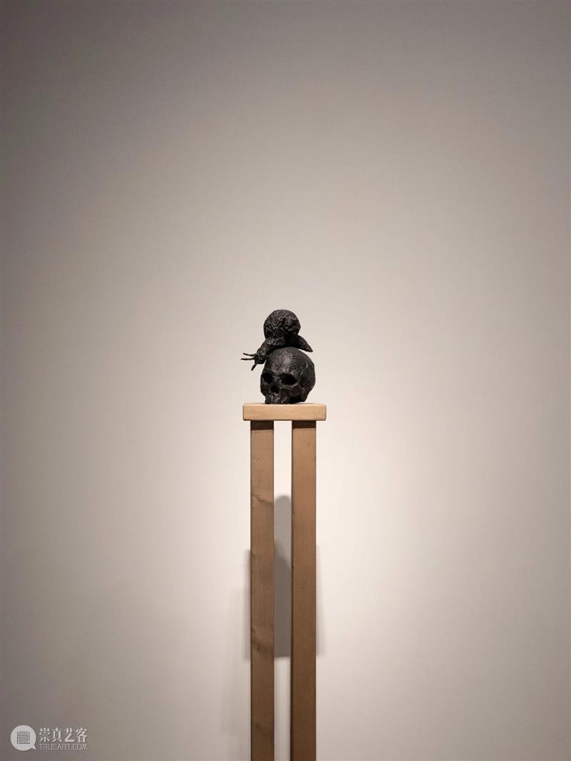 艺术家为何偏爱雌雄同体的蜗牛？ 崇真艺客