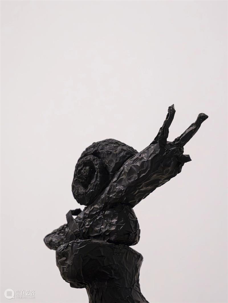 艺术家为何偏爱雌雄同体的蜗牛？ 崇真艺客