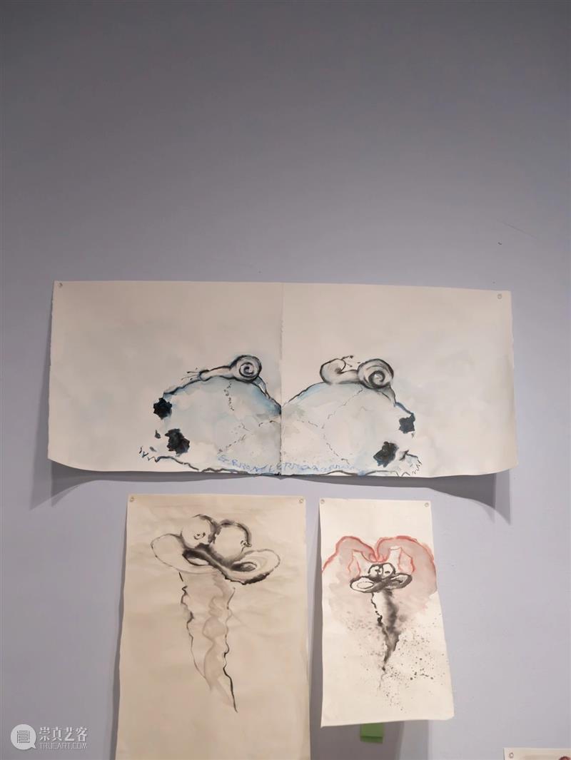 艺术家为何偏爱雌雄同体的蜗牛？ 崇真艺客