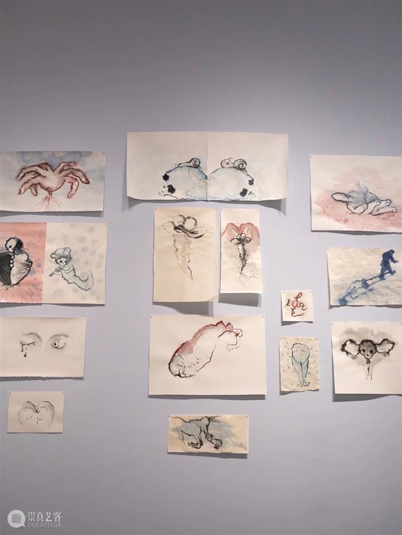 艺术家为何偏爱雌雄同体的蜗牛？ 崇真艺客