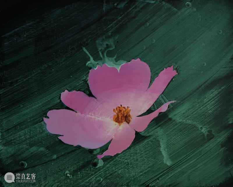 异乡,在地色彩,画中痕迹|与史怡然访谈 崇真艺客