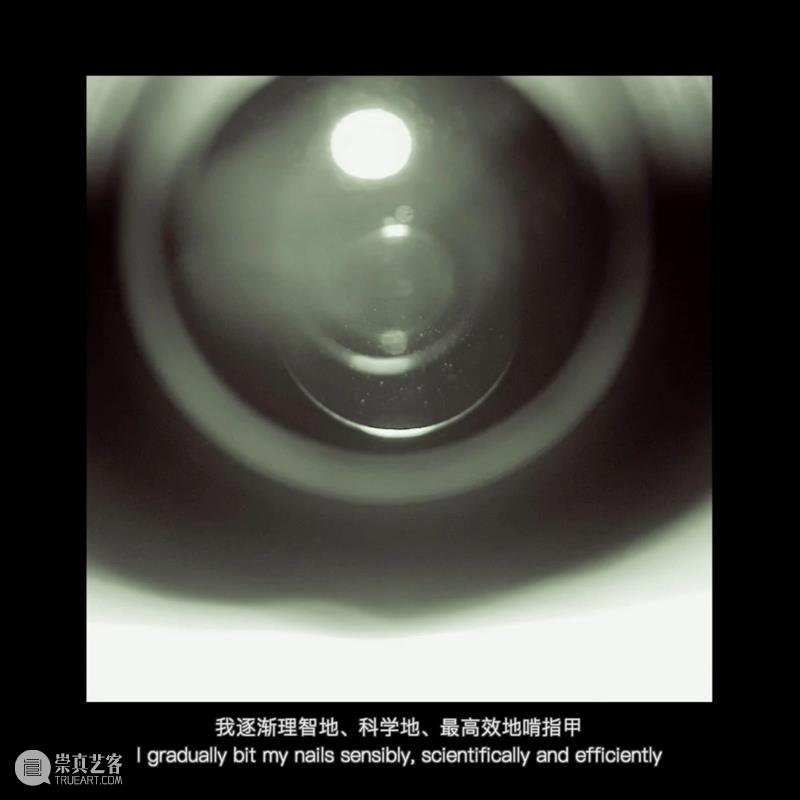 TALK TO 张怡雯|「饮·食·男女」 崇真艺客