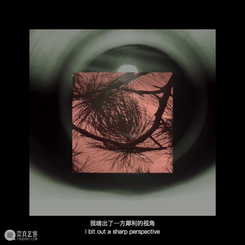 TALK TO 张怡雯|「饮·食·男女」 崇真艺客
