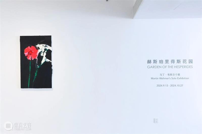上海狮語｜马丁·韦默尔《赫斯珀里得斯花园》x 闫博《未名之地》｜展览现场 崇真艺客