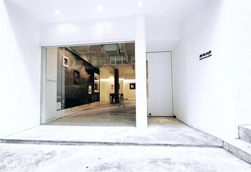 上海狮語｜马丁·韦默尔《赫斯珀里得斯花园》x 闫博《未名之地》｜展览现场 崇真艺客