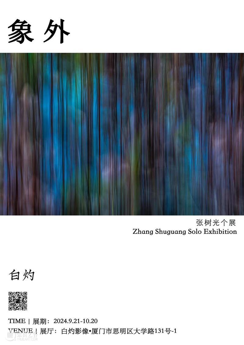 白灼有展 |「象外」张树光个展 崇真艺客