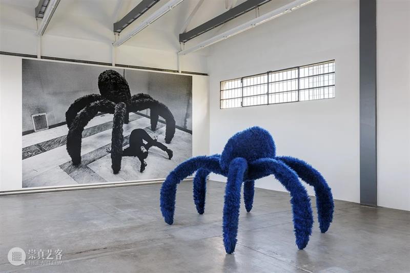 普拉达基金会关于皮诺-帕斯卡利（Pino Pascali ）展览的说明 崇真艺客