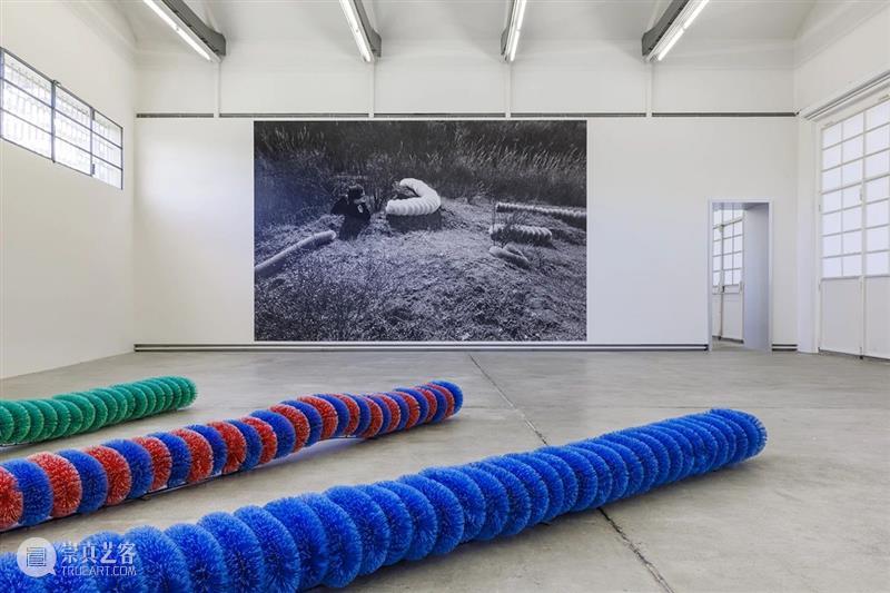 普拉达基金会关于皮诺-帕斯卡利（Pino Pascali ）展览的说明 崇真艺客