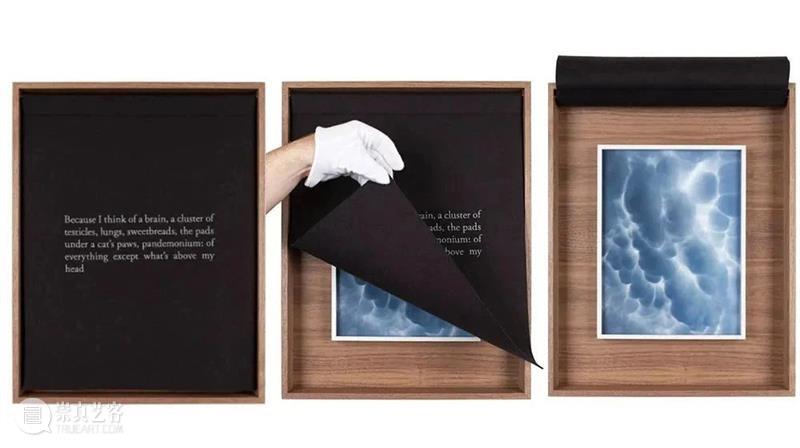 【IFA-艺术赏析】Sophie Calle | 探索个人隐私与公共表现 崇真艺客
