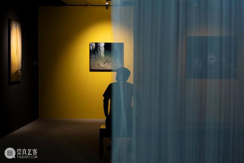 香格纳西岸中环 | 展览“反常合道”艺术家对谈回顾 崇真艺客