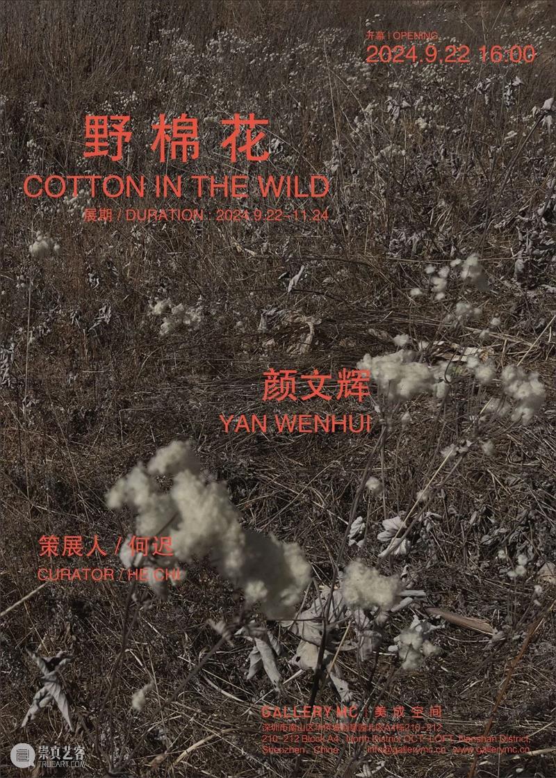预告 | “颜文辉:野棉花”开幕对谈 崇真艺客