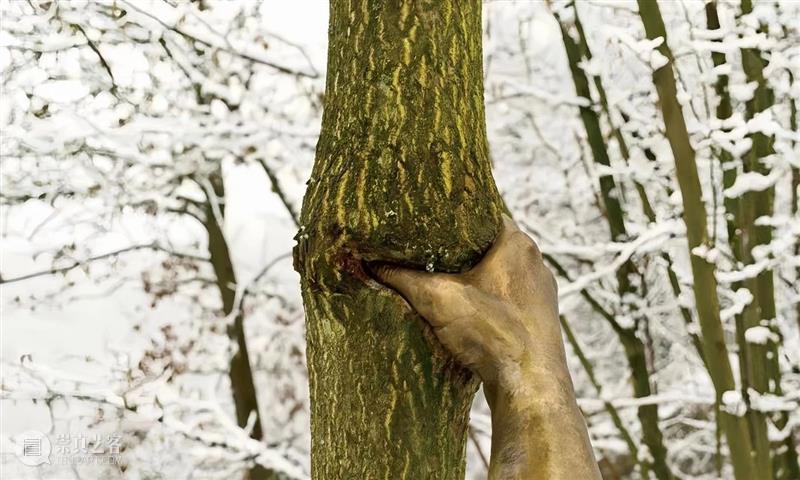【IFA-艺术赏析】Giuseppe Penone | 抚摸自然，生命流转 崇真艺客
