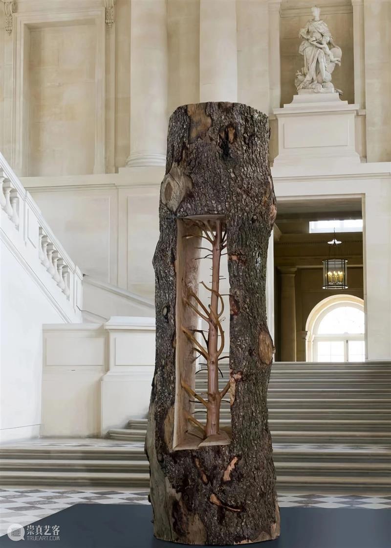 【IFA-艺术赏析】Giuseppe Penone | 抚摸自然，生命流转 崇真艺客