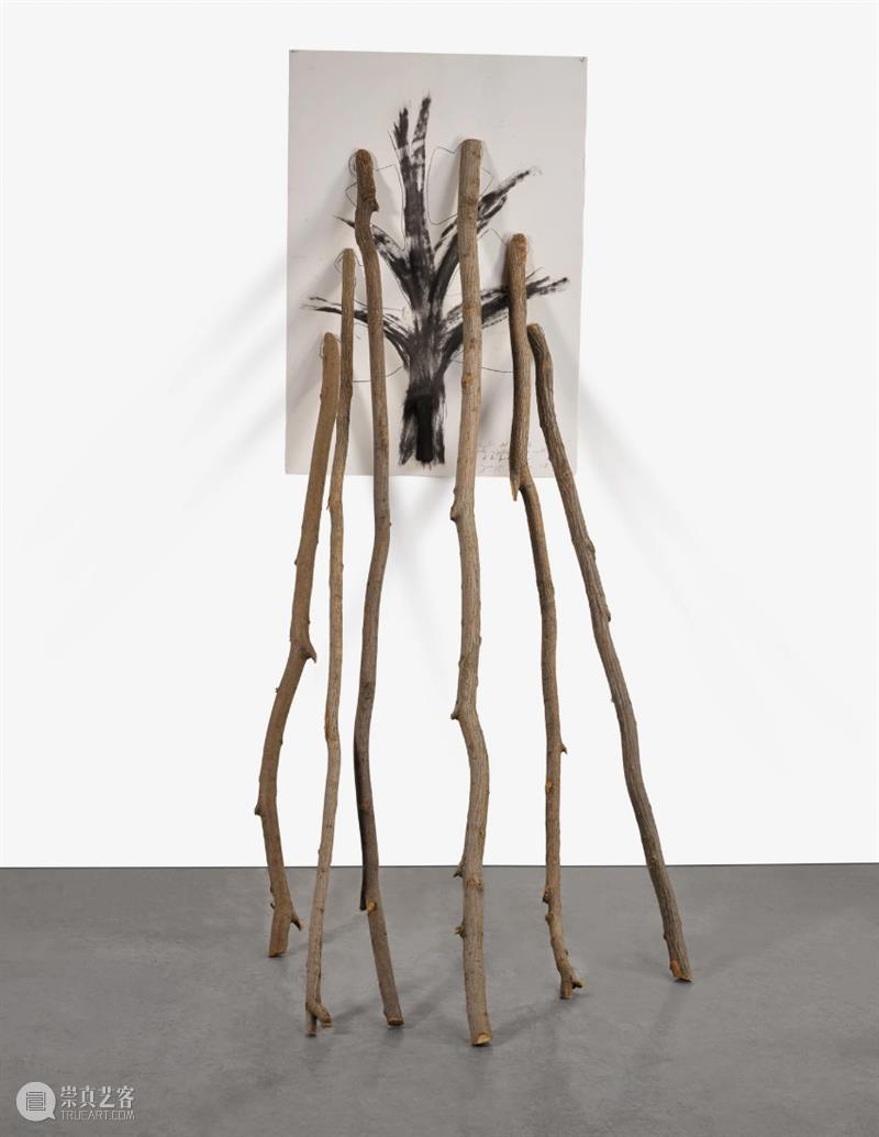 【IFA-艺术赏析】Giuseppe Penone | 抚摸自然，生命流转 崇真艺客