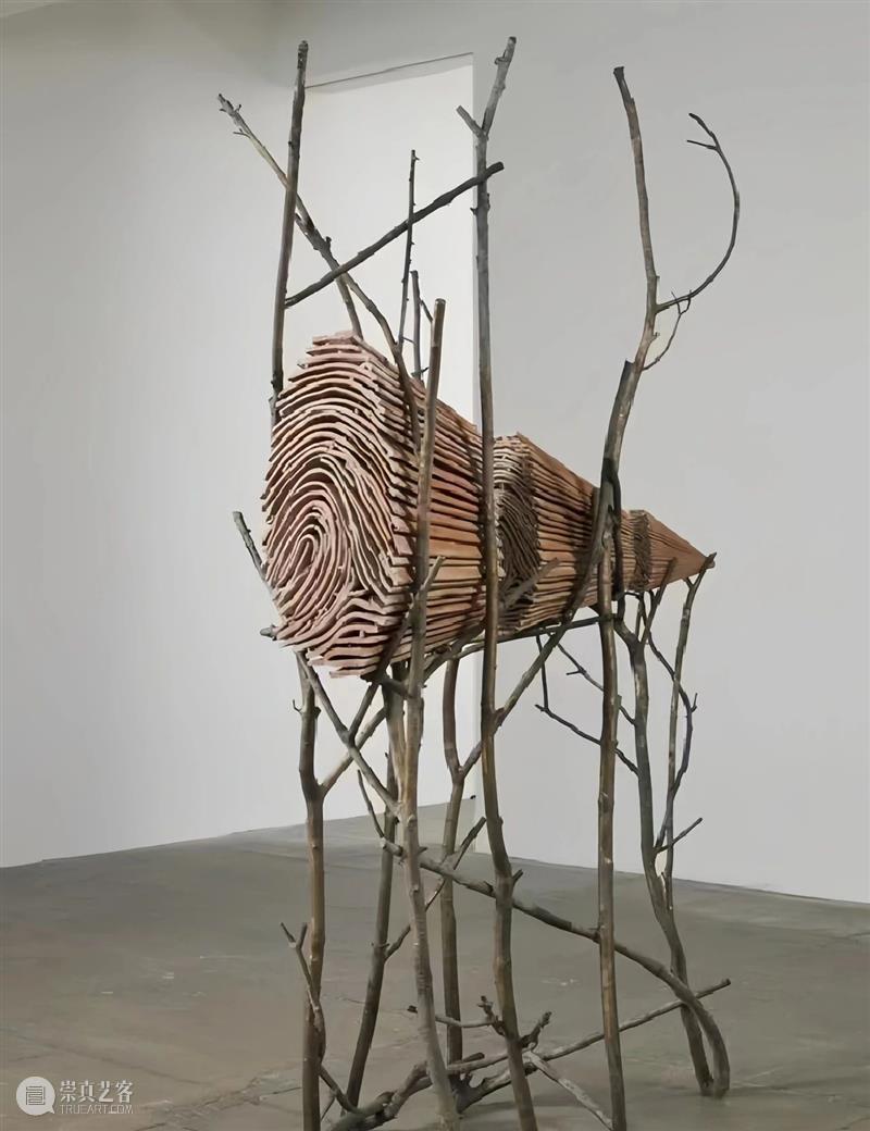 【IFA-艺术赏析】Giuseppe Penone | 抚摸自然，生命流转 崇真艺客