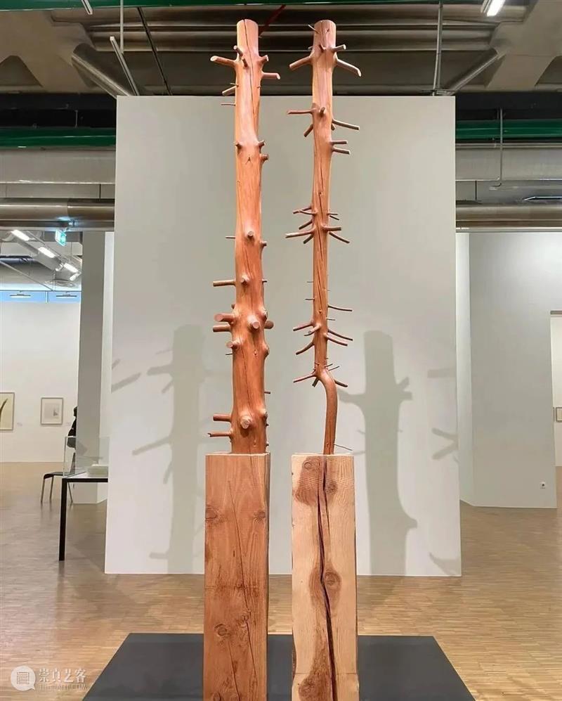 【IFA-艺术赏析】Giuseppe Penone | 抚摸自然，生命流转 崇真艺客