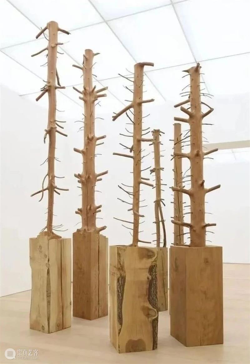 【IFA-艺术赏析】Giuseppe Penone | 抚摸自然，生命流转 崇真艺客