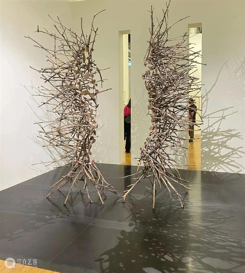 【IFA-艺术赏析】Giuseppe Penone | 抚摸自然，生命流转 崇真艺客