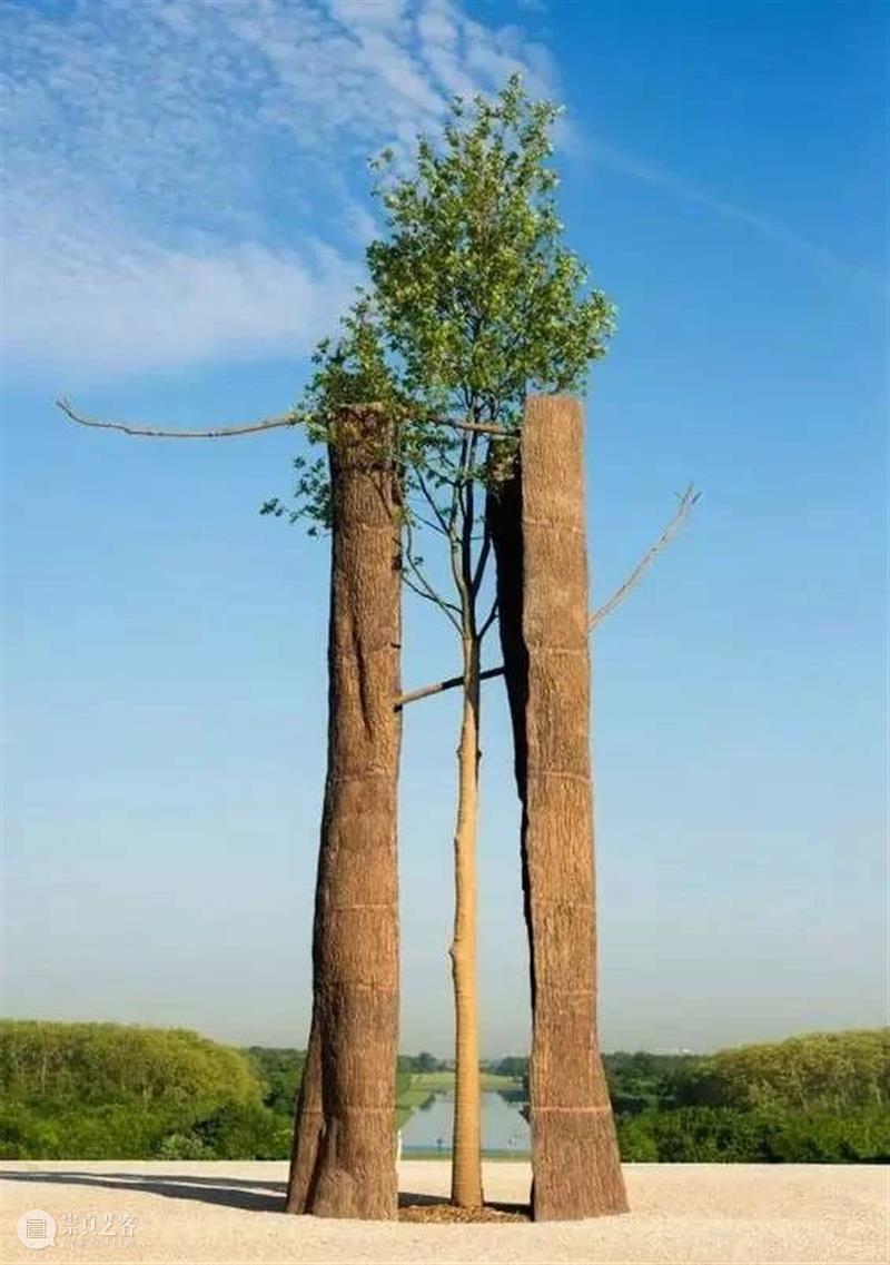 【IFA-艺术赏析】Giuseppe Penone | 抚摸自然，生命流转 崇真艺客
