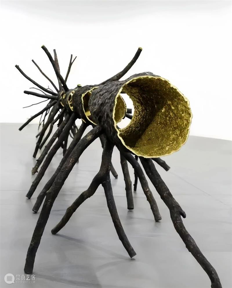 【IFA-艺术赏析】Giuseppe Penone | 抚摸自然，生命流转 崇真艺客