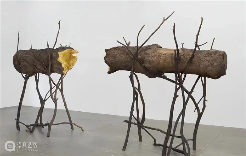 【IFA-艺术赏析】Giuseppe Penone | 抚摸自然，生命流转 崇真艺客