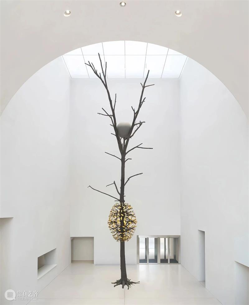 【IFA-艺术赏析】Giuseppe Penone | 抚摸自然，生命流转 崇真艺客