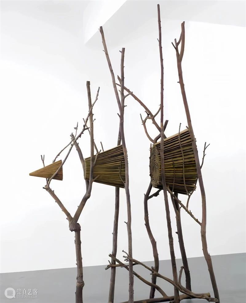 【IFA-艺术赏析】Giuseppe Penone | 抚摸自然，生命流转 崇真艺客