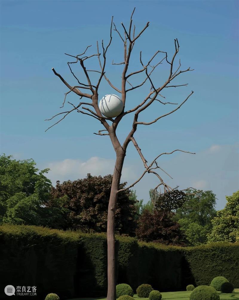 【IFA-艺术赏析】Giuseppe Penone | 抚摸自然，生命流转 崇真艺客