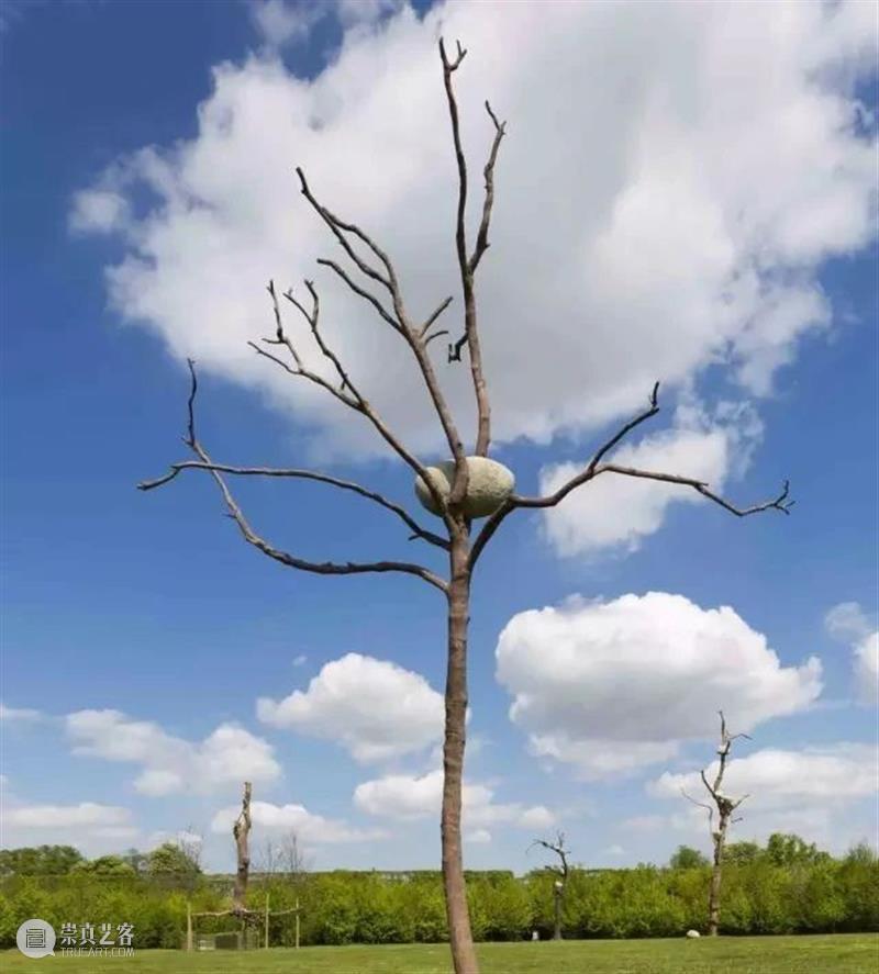 【IFA-艺术赏析】Giuseppe Penone | 抚摸自然，生命流转 崇真艺客