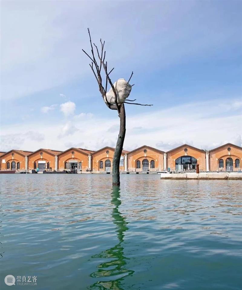 【IFA-艺术赏析】Giuseppe Penone | 抚摸自然，生命流转 崇真艺客