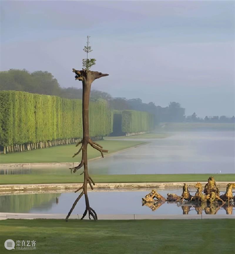 【IFA-艺术赏析】Giuseppe Penone | 抚摸自然，生命流转 崇真艺客