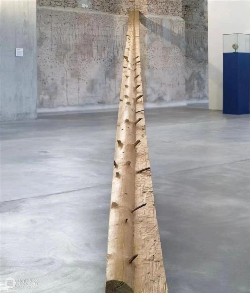 【IFA-艺术赏析】Giuseppe Penone | 抚摸自然，生命流转 崇真艺客